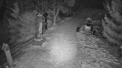 Bílá - běžecká trať