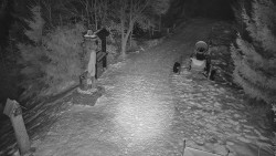 Bílá - běžecká trať