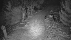 Bílá - běžecká trať