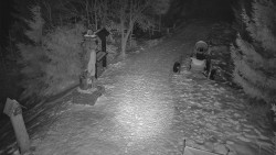 Bílá - běžecká trať