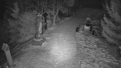 Bílá - běžecká trať