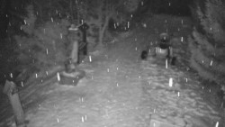 Bílá - běžecká trať