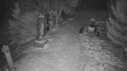 Bílá - běžecká trať