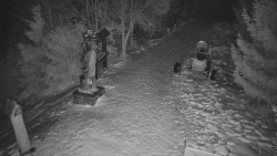 Bílá - běžecká trať