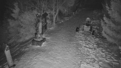 Bílá - běžecká trať