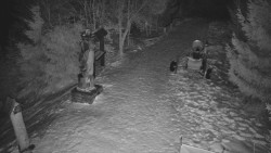 Bílá - běžecká trať