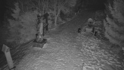 Bílá - běžecká trať