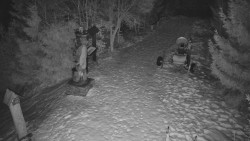 Bílá - běžecká trať