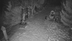 Bílá - běžecká trať