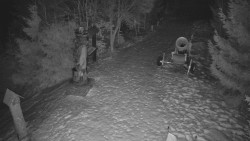 Bílá - běžecká trať