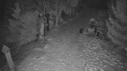 Bílá - běžecká trať