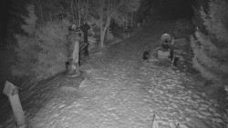 Bílá - běžecká trať