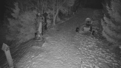 Bílá - běžecká trať