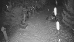 Bílá - běžecká trať