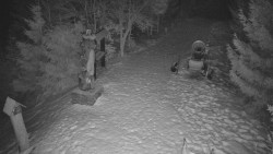 Bílá - běžecká trať