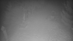 Bílá - běžecká trať