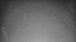 Bílá - běžecká trať