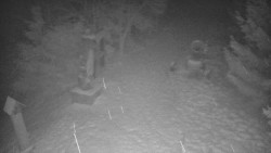 Bílá - běžecká trať