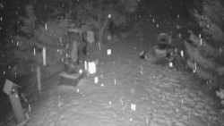 Bílá - běžecká trať