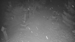 Bílá - běžecká trať