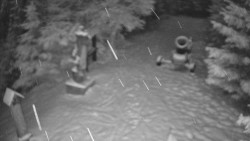 Bílá - běžecká trať