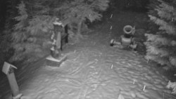 Bílá - běžecká trať