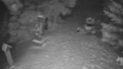 Bílá - běžecká trať