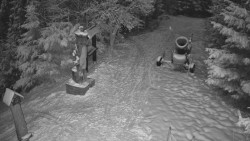 Bílá - běžecká trať