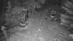 Bílá - běžecká trať