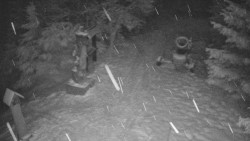 Bílá - běžecká trať