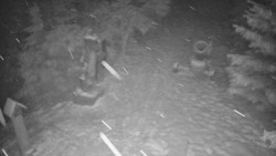 Bílá - běžecká trať