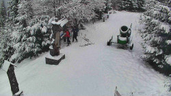 Bílá - běžecká trať