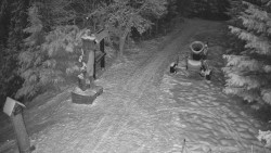 Bílá - běžecká trať