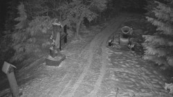 Bílá - běžecká trať