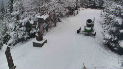 Bílá - běžecká trať