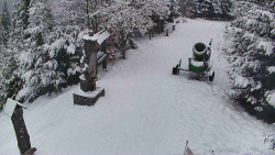 Bílá - běžecká trať