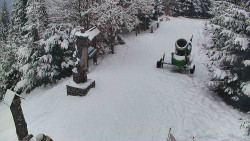 Bílá - běžecká trať