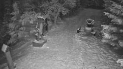 Bílá - běžecká trať