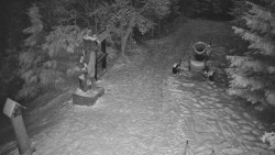 Bílá - běžecká trať