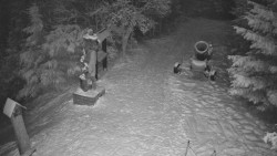 Bílá - běžecká trať