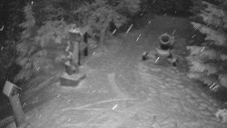 Bílá - běžecká trať