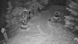 Bílá - běžecká trať