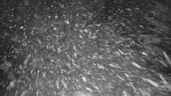 Bílá - běžecká trať