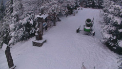 Bílá - běžecká trať