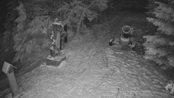 Bílá - běžecká trať