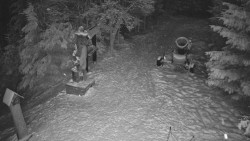 Bílá - běžecká trať