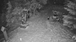 Bílá - běžecká trať