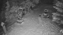 Bílá - běžecká trať