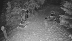 Bílá - běžecká trať