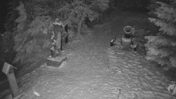 Bílá - běžecká trať